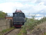 DR E04 07 (204 007-9) am 28.09.2019 beim Herbstfest im TBw Staßfurt.