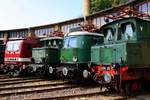 243 005-6, E44 046, E18 31 und E04 01 (v.l.) haben sich vor dem Lokschuppen des DB Museums Halle (Saale) anlässlich des jährlichen Sommerfests zum Gruppenfoto getroffen.