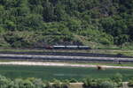 Fast wie auf der Modelbahn...E69 005 des Bayerischen Localbahn Vereins auf dem Weg nach Koblenz kurz hinter dem Tunnel Loreley am 29.5.26