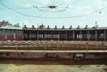 Bahnbetriebswerk Augsburg, Ringlokschuppen, Sommer 1984