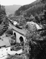 194 571 auf dem Taugwitztalviadukt bei Ludwigsstadt im August 1983.
