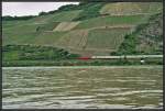 Am Bopparder Damm rollt eine 101 mit einem InterCity ber die Rheinstrecke Richtung Mainz.