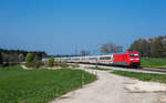 Die sehr saubere 101 080 fährt mit einem Eurocity bei Grabenstätt in Richtung Salzburg, aufgenommen am 9.