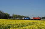 120 151 (ZDF express) mit IC 327 und 101 xxx mit IC 2296 bei Mammendorf (19.04.2007).