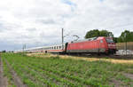 Täglicher Intercity kommend aus Lüneburg, mit der 101 007-3 in Front.