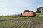 Der NightJet mit der 101 034-7 in Front, unterwegs in Richtung Hamburg.