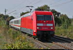 101 098-2 unterwegs bei Metterzimmern (Bietigheim-Bissingen).
Das Foto entstand hinter den Sträuchern.

🧰 DB Fernverkehr
🚝 IC 2267 (Linie 60) Karlsruhe Hbf–München Hbf [Umleiter] [+10]
🚩 Bahnstrecke Bietigheim-Bissingen–Bruchsal (Westbahn (Württemberg) | KBS 770)
🕓 20.9.2020 | 15:00 Uhr