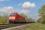 101 030 bespannte am 14.4.26 den Intercity 2311 auf dem Abschnitt von Itzehoe bis Köln, das Foto entstand in Sythen