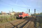 101 019-8, bei der durchfahrt in Lehrte am 13.04.2011.