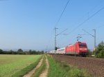 101 038 schiebt den IC2024 Passau-Hamburg die linke Rheinstrecke hinauf, hier bei Gau-Algesheim.