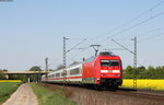 101 138-5 mit dem IC 141 (Amsterdam Centraal-Berlin Gesundbrunnen) bei Lindhorst 7.5.16