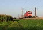 101 046-1 mit einem IC am 16.09.14 bei Neu Ulm.