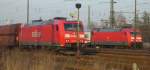 185 179 und 101 119 begegnen sich am 13.1.06 in Worms .