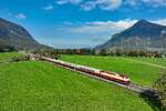 Am 15. Oktober 2025 verkehrte ein AKE-Rheingold als DRV 13401 von Cottbus nach Steinach in Tirol. Zuglok war die häufig genutzte 101 001 des DB Museums, welche vor einiger Zeit eine TEE-Lackierung erhielt. Auch wenn die klassische Farbgebung auf der kantigen Drehstromlok fast einem Frevel gleichkommt - vor dem passenden Wagenpark wirkt sie gar nicht mal so schlecht. Bei Niederaudorf konnte ich den historischen Schnellzug bei der Fahrt durch das Inntal dokumentieren. 