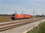 Die 101 019 mit der 1116 053 im Schlepp am 24.09.2011 unterwegs bei Hattenhofen.