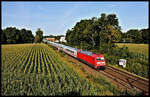 Mit einem Intercity ist hier die DB 101054-5 am 25.08.2021 um 9.27 Uhr bei Osnabrück Hellern in Richtung HBF Osnabrück unterwegs.