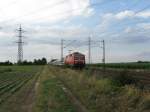 120 122-7 mit IC2115 von Stralsund Hbf nach Stuttgart Hbf mit +65.Dieser Zug wurde wegen Bauarbeiten ber Gro-Gerau umgeleitet.Am 29.07.08 bei der durchfahrt in Lampertheim.