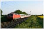 Vorbei an einem blhenden Rapsfeld bei Ladenburg zieht 120 123 am 03.05.2008 ihren IC 2270, welchen sie von Saarbrcken nach Kassel bringt.