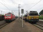 DB 120-126 und NS 1752 Mit IC140 (Berlin Ostbanhof-Amsterdam Centraal) Am Bad Bentheim. August 2014.