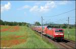 120 202 mit RE1 aus Rostock nach Hamburg am 06.06.2011 zwischen dem Hp Huckstorf und Schwaan in Benitz.