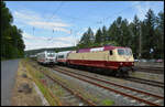 STADLER vs.