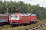 SEL 120 143-3 zog SEL 234 242-6 durch Eystrup beide frisch ges�ubert 12.9.2026