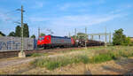 145 052-7 bef�hrt mit Kesselwagen die G�tergleise von Halle(Saale)Hbf Richtung Zugbildungsanlage (ZBA).
Aufgenommen von Bahnsteig 12/13.

🧰 DB Cargo, vermietet an die Mitteldeutsche Eisenbahn GmbH (MEG)
🕓 18.6.2025 | 19:46 Uhr