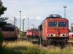 155 137-3 im Bw Leipzig Engelsdorf und 145 313-4 auf der Drehscheibe 13.07.2009