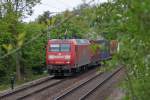 146 014-7 bahnt sich dem Weg durch die grne Oase in Geilenkirchen, hier kurz vor dem Geilenkirchener Bahnhof, verstecken? Nicht mit mir :-) 16.5.10