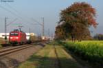 Wunderschn herbstlich und mit blhendem Ackersenf prsentierte sich die schne Fotostelle bei Malsch im Herbst 2011. Dort konnte am 31.10.2011 die 145 004-8 mit einem Containerzug fotografiert werden.