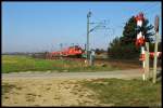 Die noch im Railion-Schema befindliche 145 042-8 ist mit dem RE-50 nach Dresden unterwegs. Bei Zeithain passiert der Zug einen der letzten Bahnbergnge der Reichsbahnbauart HS-64b an der Strecke.