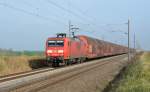 145 064 zog einen Ganzzug Autotransportwagen am 16.11.13 durch Braschwitz Richtung Halle(S).