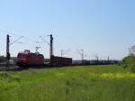 Die inzwischen letzte 145 mit dem DB Cargo Schriftzug war am 30.5.13 auf der Rheinbahn unterwegs.
Aufgenommen bei Waghäusel. 