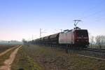 Am 08.03.2014 fuhr die Seddiner 145 034-5 mit einem Getreidezug von der Schweizer Grenze in Richtung Norden, als sie am Müllheimer Ortsteil Hügelheim vorbei fuhr.