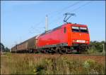 145 061-8 vor dem TEC45504 aus Rostock Seehafen. Etwa auf Hhe Hp Stralsund Grnhufe. ( am 11.09.06) 