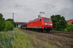 145 067-5 zieht am 10.06.15 einen Autozug bei Fulda in Richtung Norden.