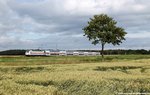 146 558-2 DB mit einem IC nach Leipzig am 01.07.2016 bei Sierße ostwärts