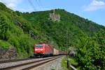 Im Rheintal unterhalb der Burg Maus konnte am 10.