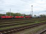 Am 19.04.07 stand die frisch lackierte 145 065  mit ihrem Gterzug nach Poppendorf in der Ausfahrtgruppe in Rostock-berseehafen, whrend 232 146 mit einem leeren Militrtransportzug einfhrt und sich