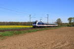 Deutschland 
Lok 145 040 von TRI zieht einem Personenzug RB37 Krefeld - Neuss in Bösinghoven 
8/4/2026