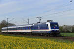 145 040-2 (TRI) mit der RB37 Richtung Neuss Hbf in Meerbusch B�singhoven, 8. April 2026