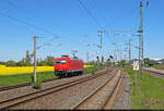 145 089-9 eilt als Tfzf durch den Bahnhof Niemberg Richtung Halle (Saale).
Vom Bahnsteigende aufgenommen.

🧰 Beacon Rail Leasing S.� r.l. (BRLL), vermietet an die HSL Logistik GmbH (HSL)
🕓 6.5.2025 | 12:49 Uhr