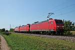 Am 31.08.2015 bespannte 145 005-5 einen Lokzug, in dem die 145 069-1 und die 152 110-3 vom BW Haltingen nach Mannheim Rbf überführt wurden, als sie bei Hügelheim auf der KBS 703 in