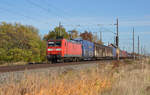 Aus Richtung Köthen kommend rollte 145 032 mit einem gemischten Güterzug am 31.10.18 durch Braschwitz Richtung Halle(S).
