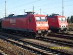 Loktreffen am 13.09.2008.145 001 von Railion und die MEG 801 treffen sich in Angermünde.