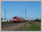 145 042 fährt am 19.10.13 mit einem gemischten Güterzug über die Rheinbahn von Mannheim Richtung Karlsruhe.