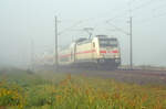 Am Morgen des 02.10.25 führte 146 567 ihren IC 2046 nach Dortmund gut getarnt durch das neblige Braschwitz Richtung Magdeburg.