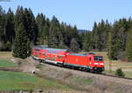 146 233-2  Donaueschingen  mit der RB 17215 (Freiburg(Brsg)Hbf-Neustadt(Schwarzw)) bei Hinterzarten 7.4.17