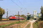 146 212-6 mit der RB 17119 (Offenburg-Freiburg(Brsg)Hbf) bei Friesenheim 19.9.20