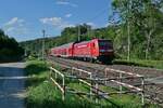 Zwischen Durlesbach und Aulendorf befindet sich 146 209-2 am 14.07.2022 mit den Wagen des RE 5 / 4228, Lindau-Reutin - Stuttgart, im Schussentobel bei Kilometer 162.4